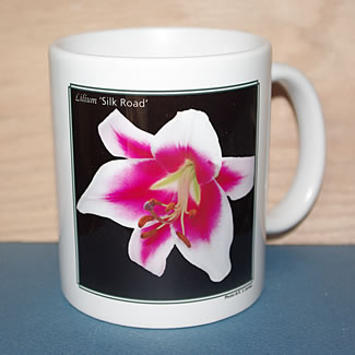 mug DS-103 6676.jpg